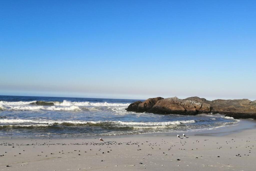 Pearl Haven, Coastal Comfort Just Steps From The Shore! Villa Yzerfontein Eksteriør billede